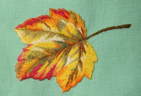 foglia-ricamata-autunno